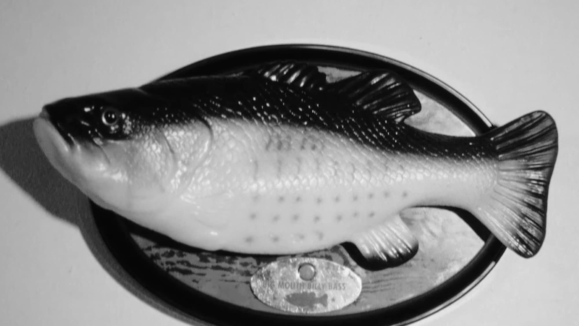 Fish Fear Me