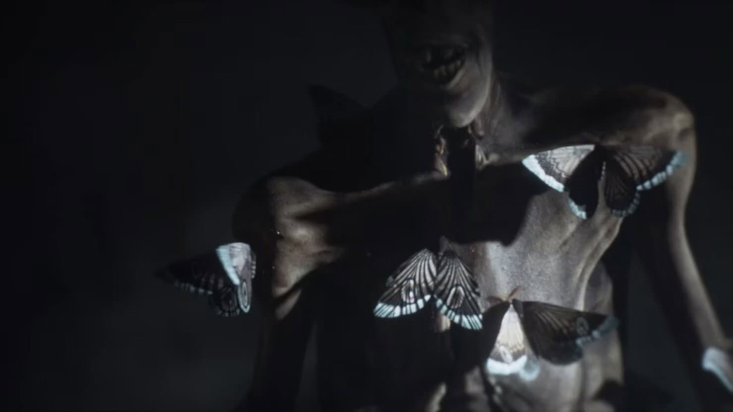 Moths