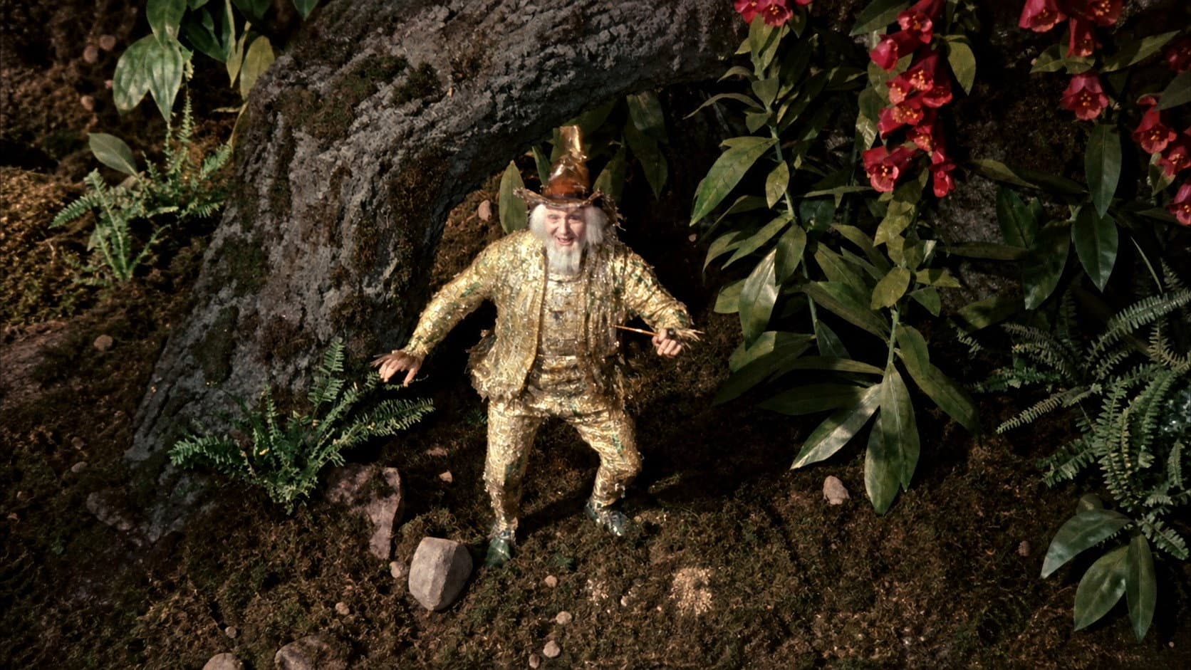 Tales from the Black Forest