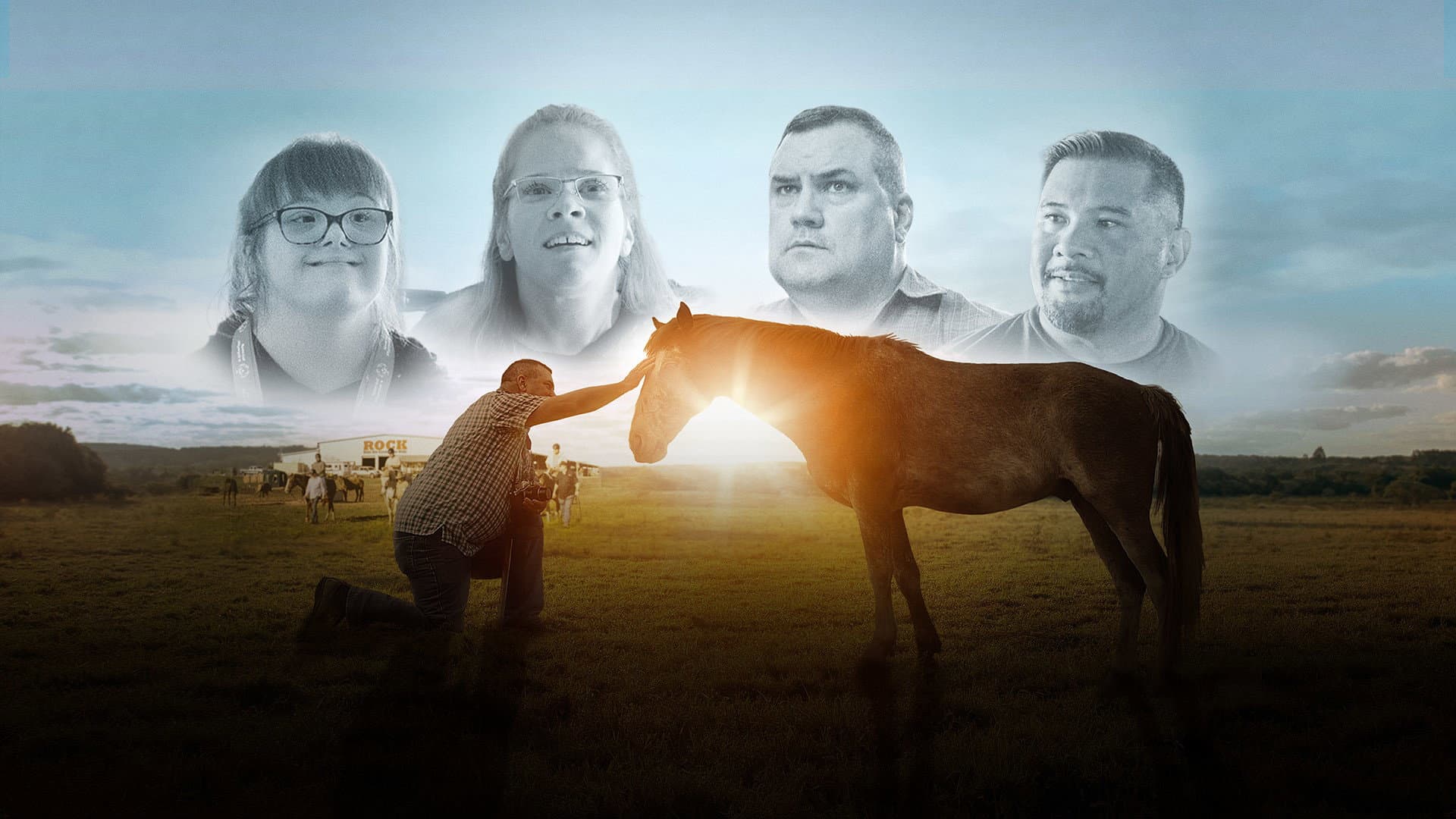 Where the Horses Heal the Soul