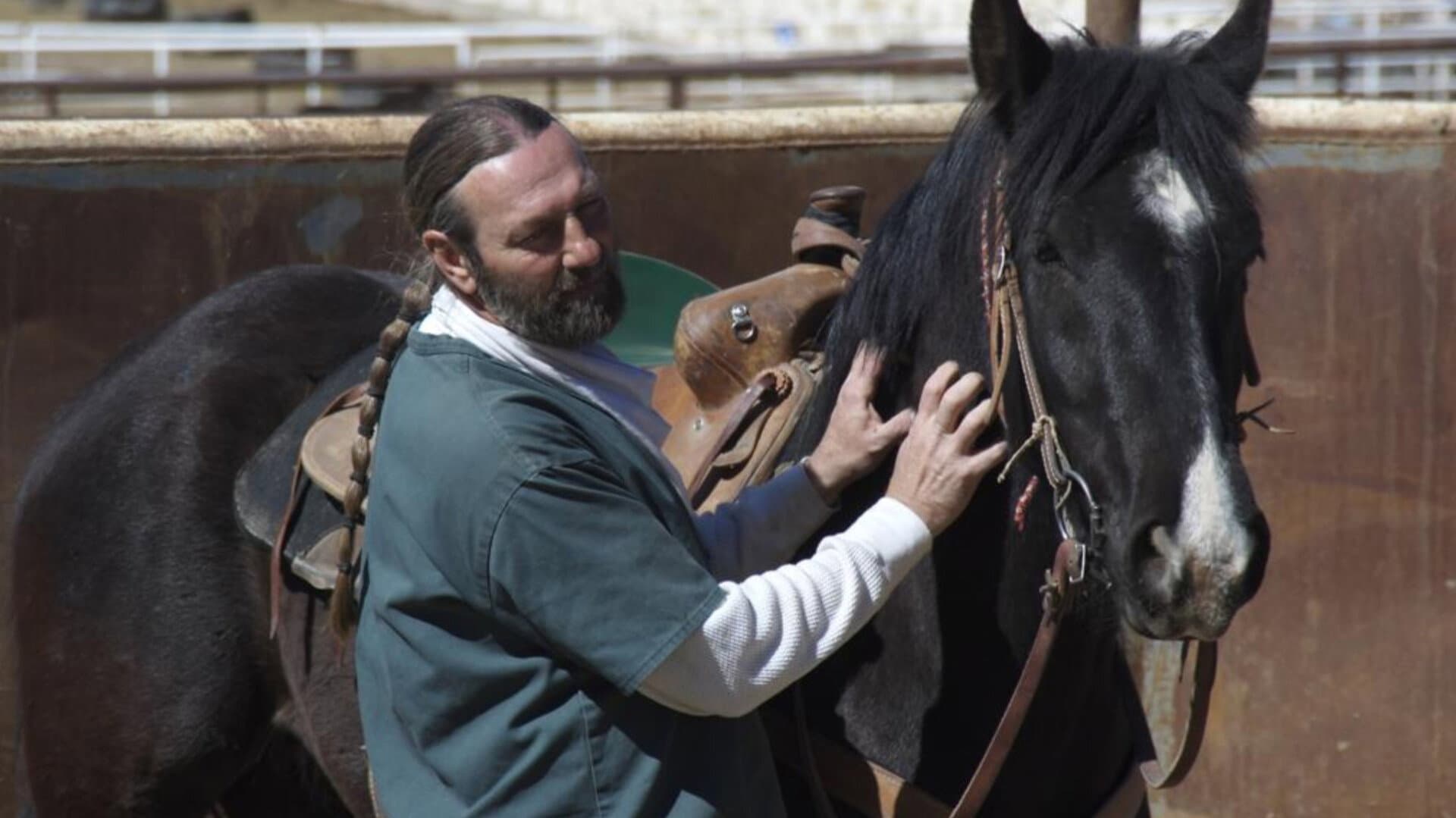 The Wild Horse Redemption