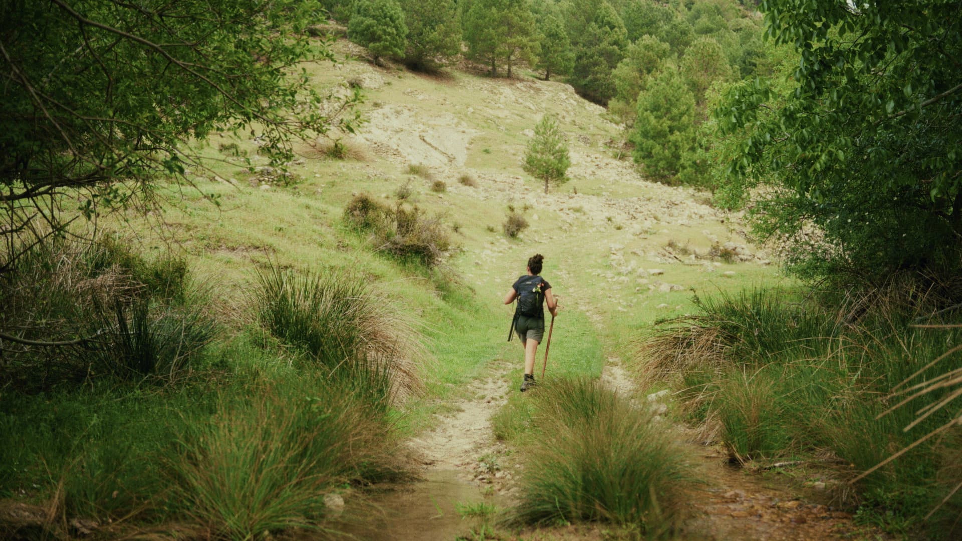 The Valley