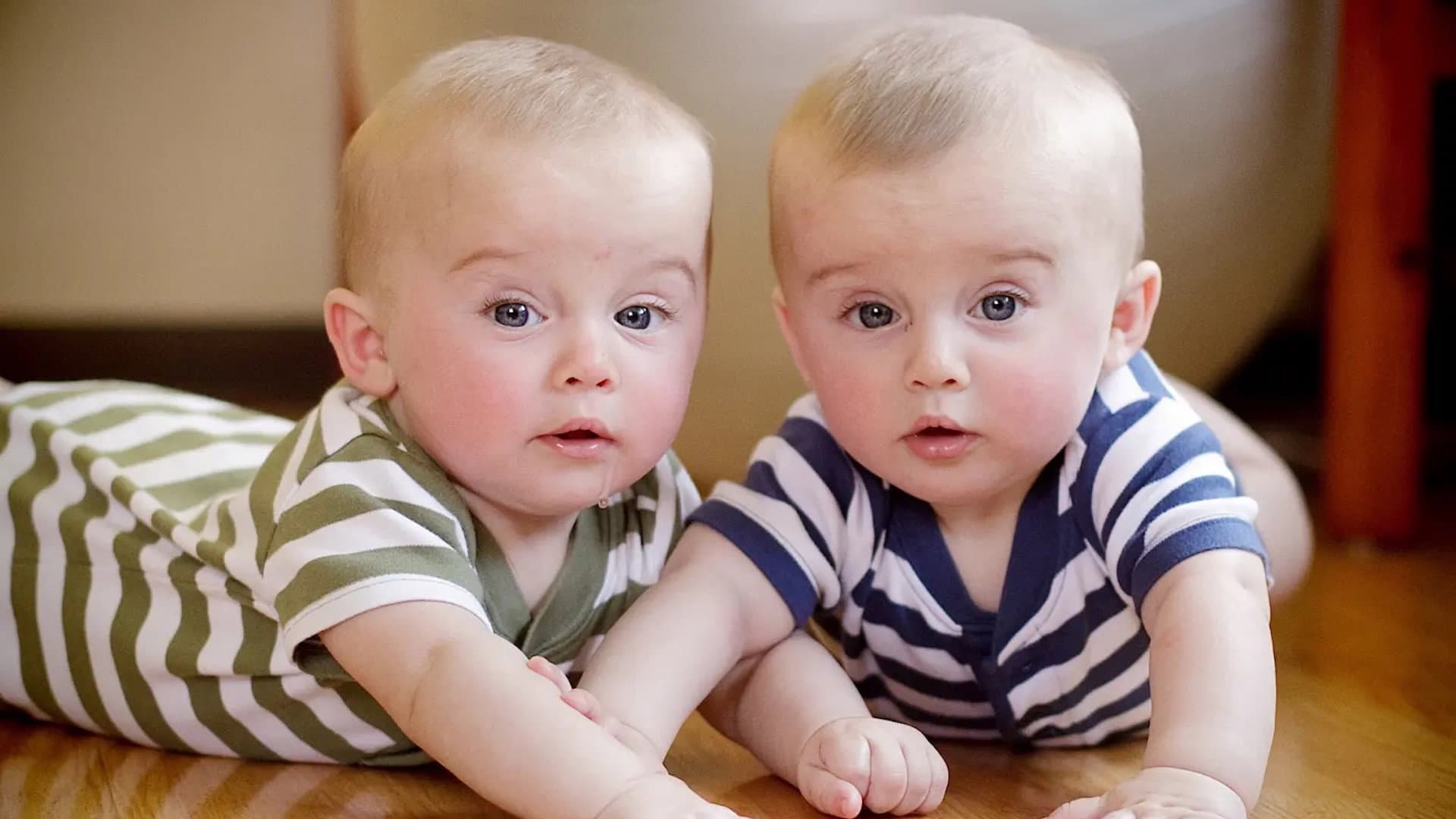 Secret Life of Twins