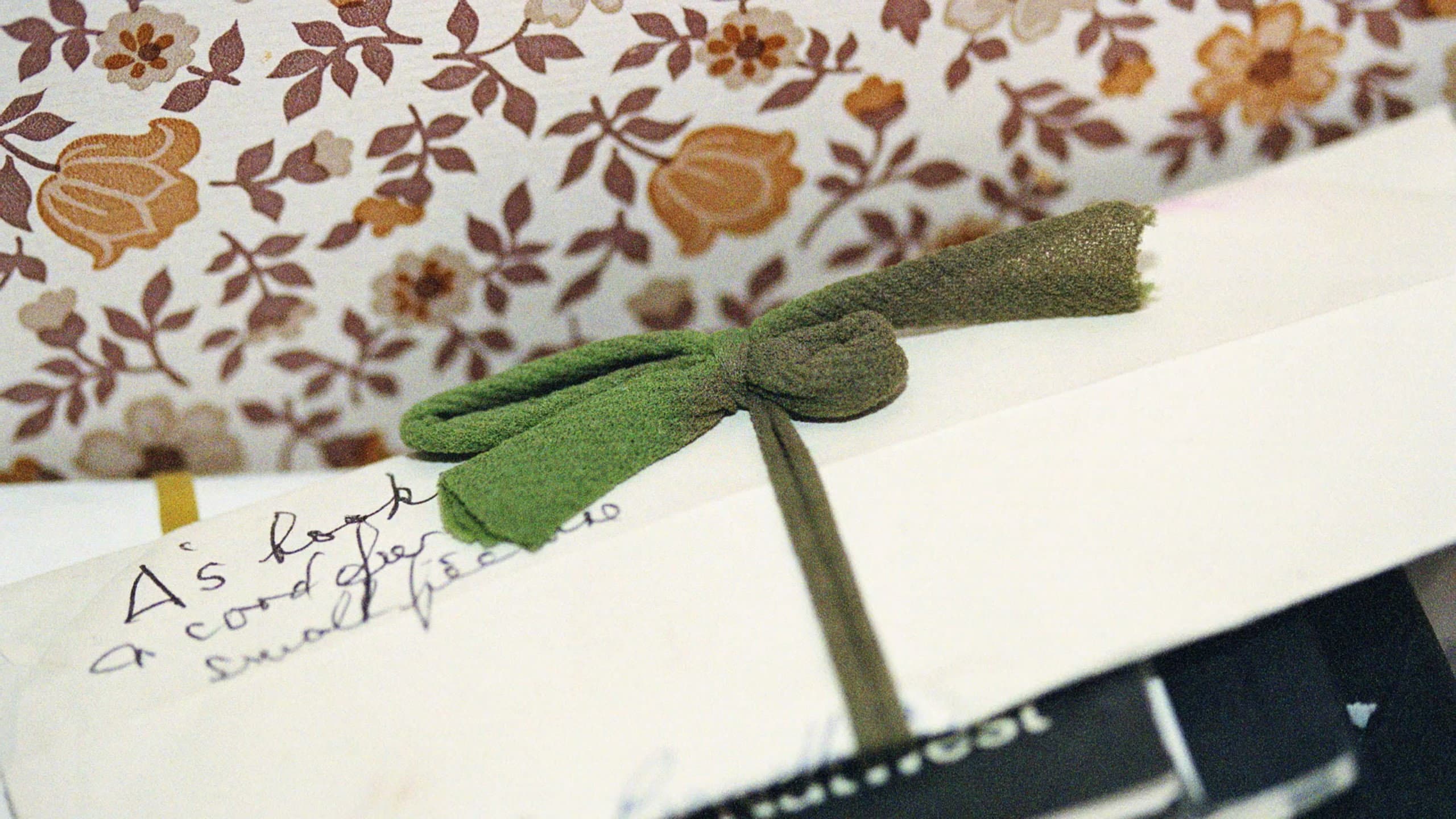 Taking Cuttings