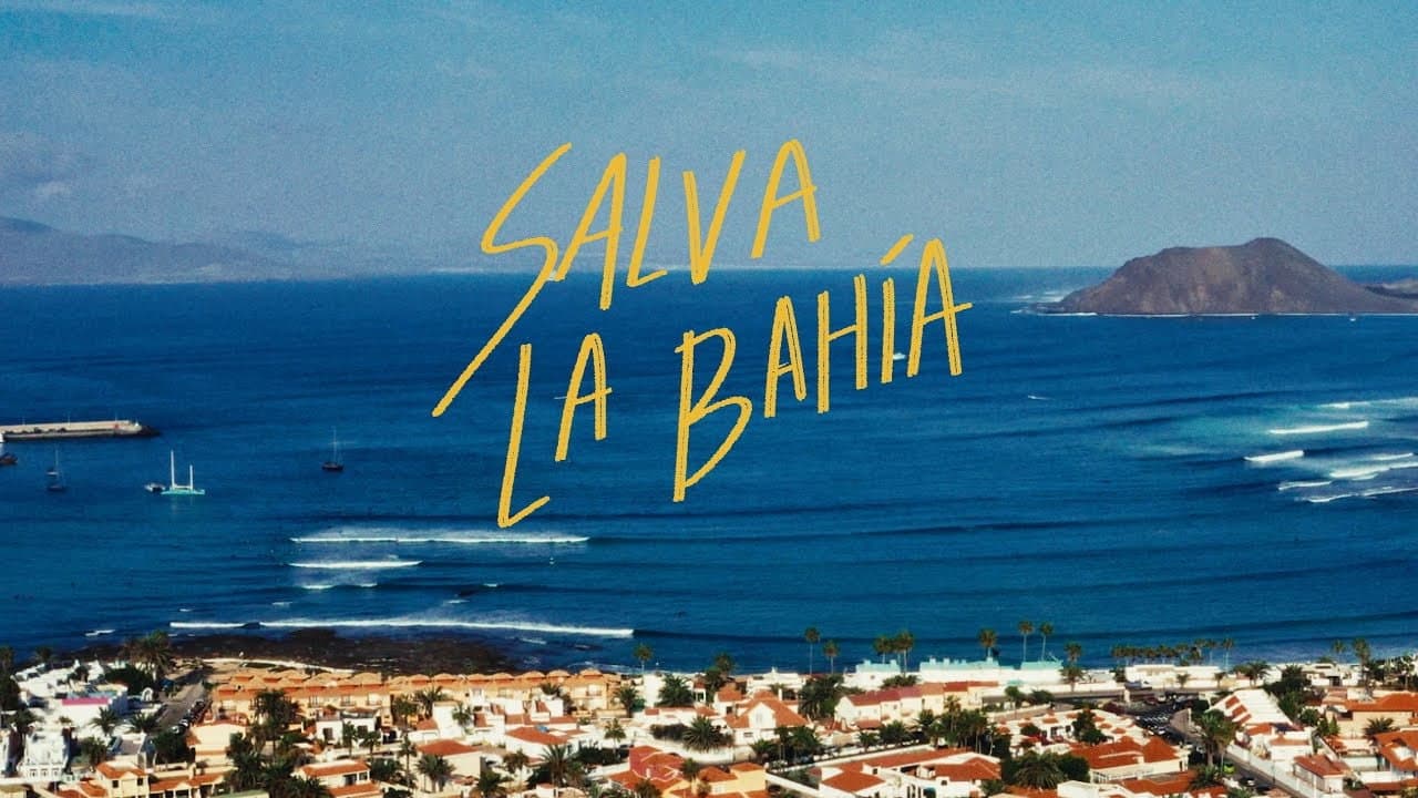 Save the Bay
