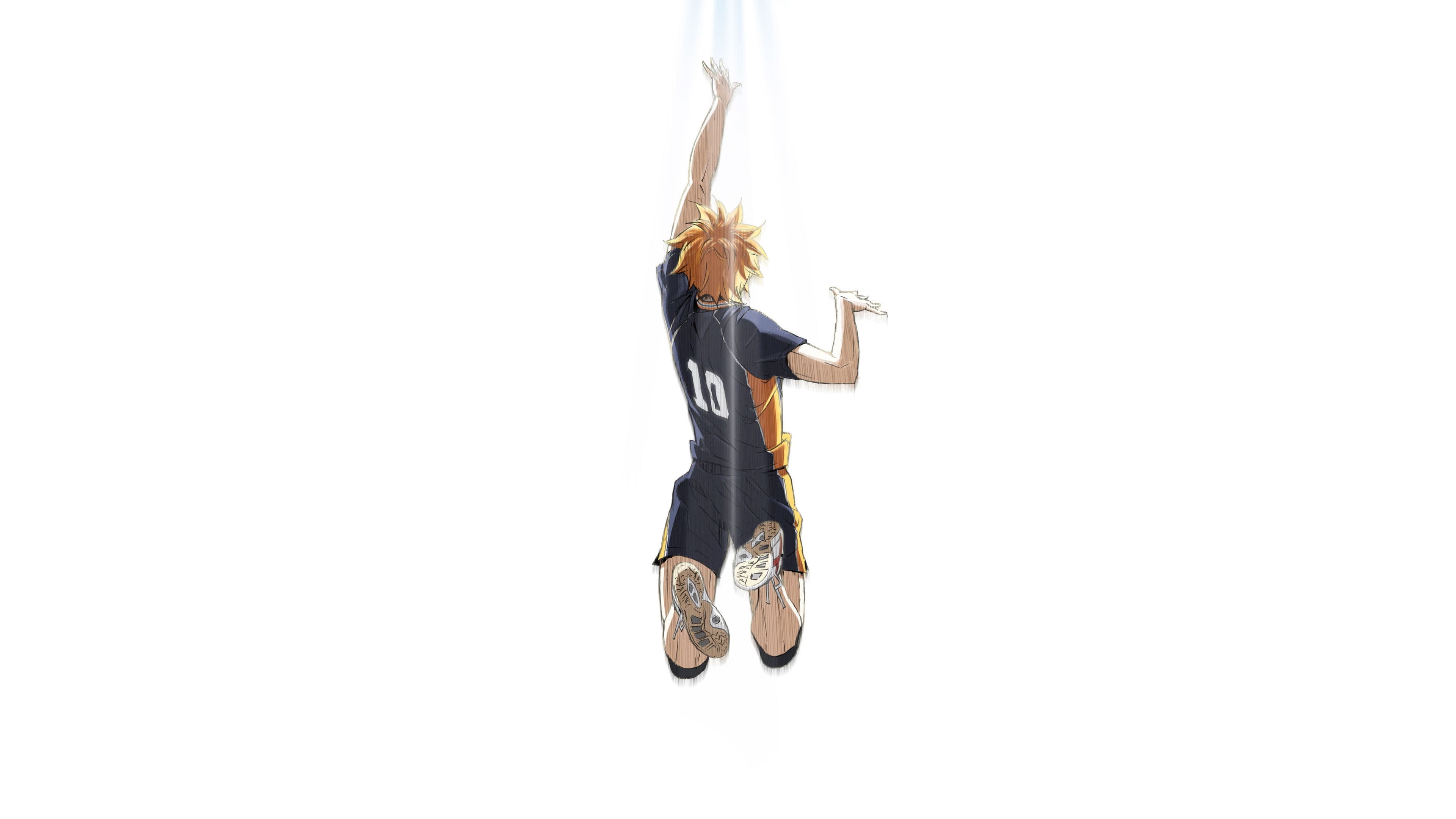 HAIKYU!! VS The Little Giant