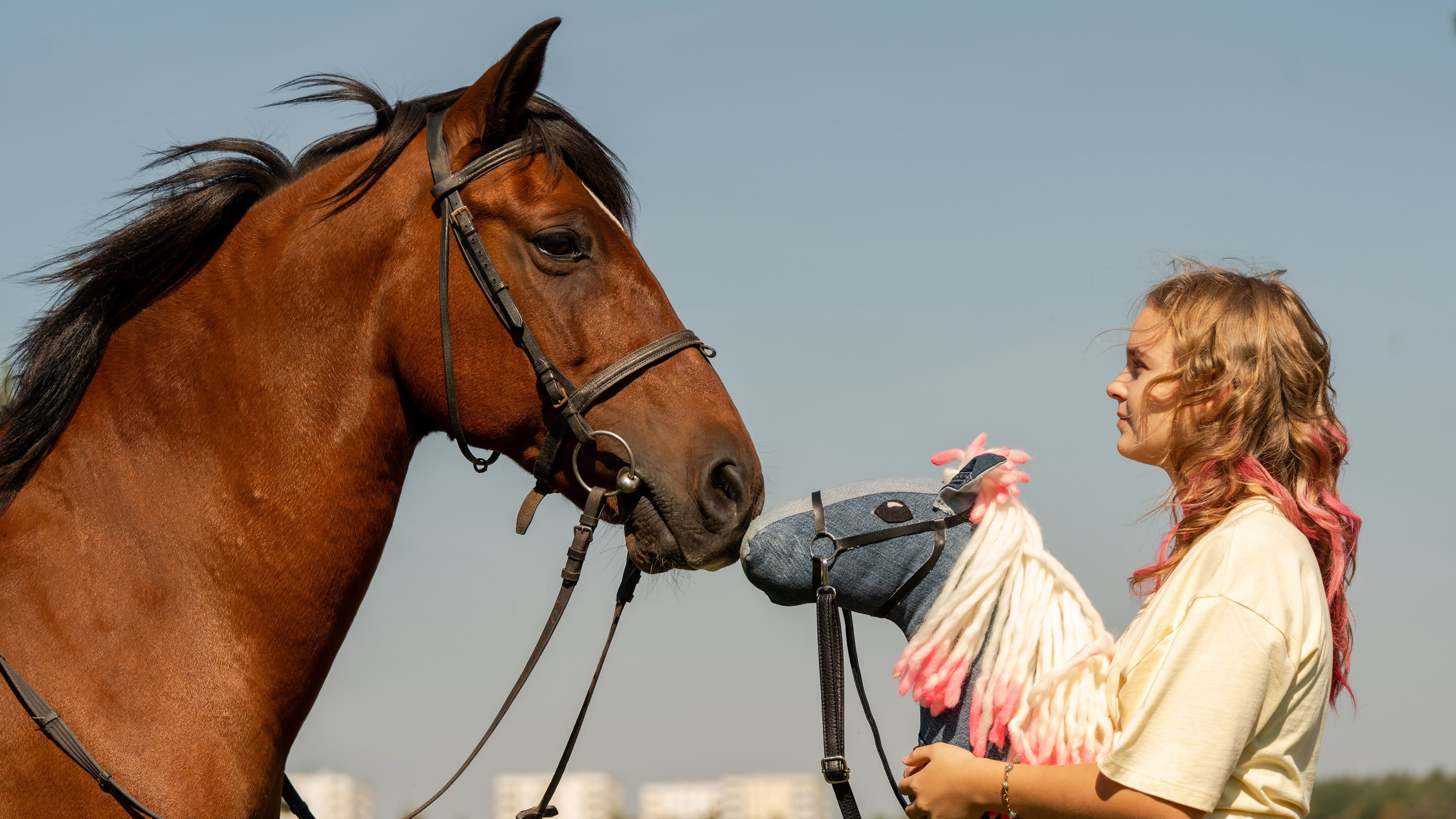 Horse on a Stick