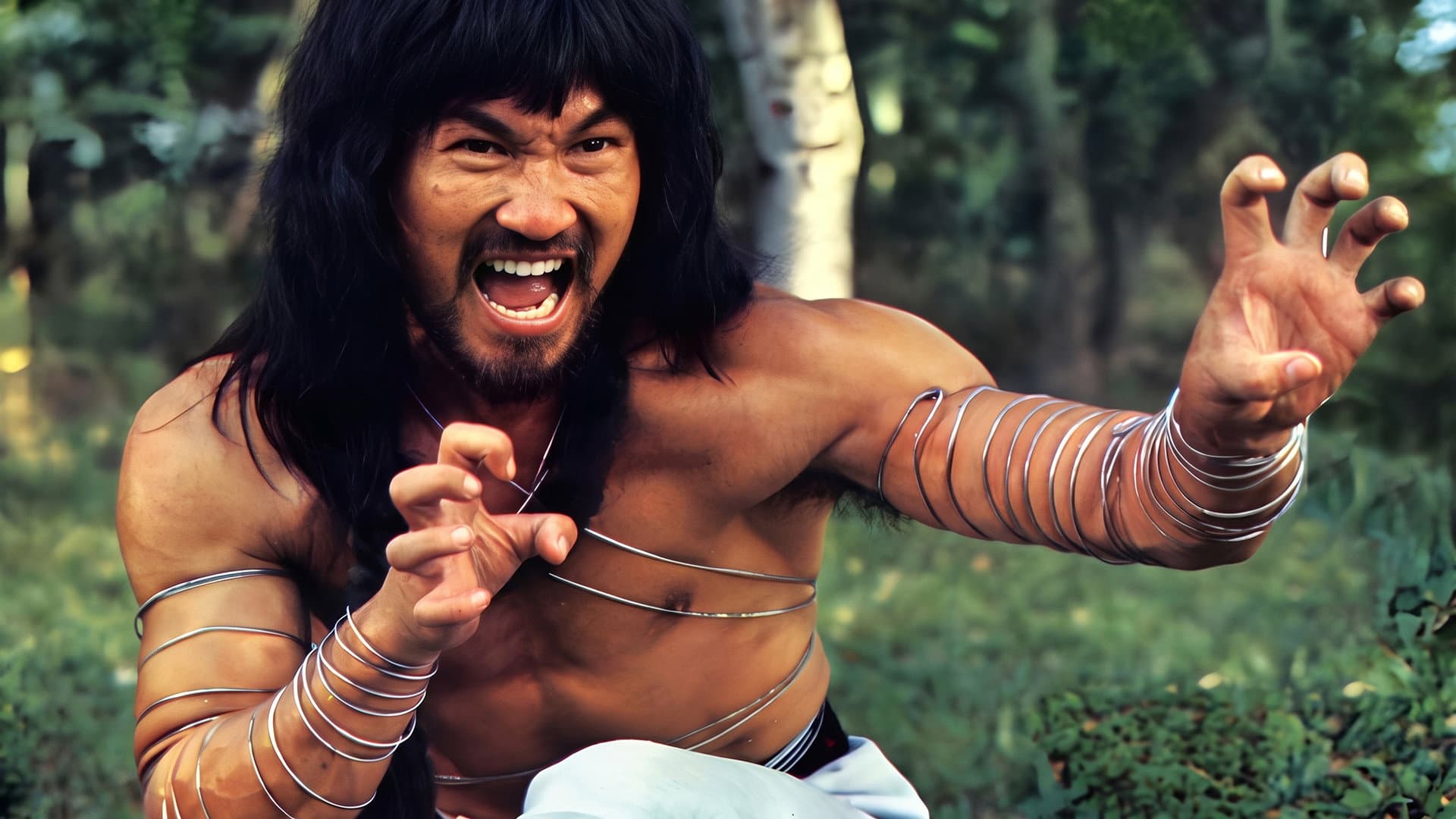 Cantonen Iron Kung Fu
