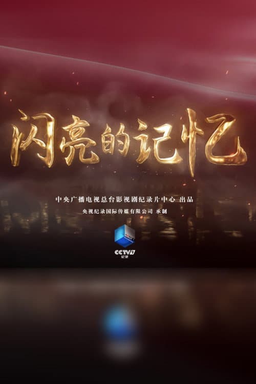 闪亮的记忆