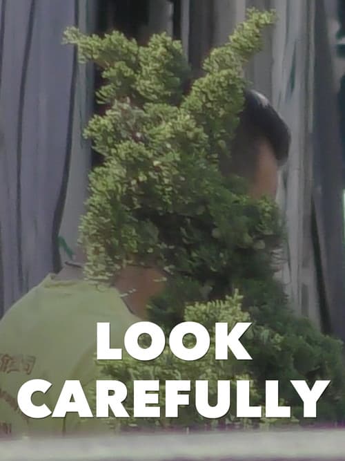 Look Carefully