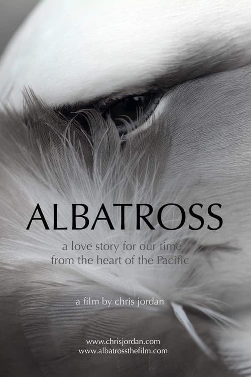 Albatross