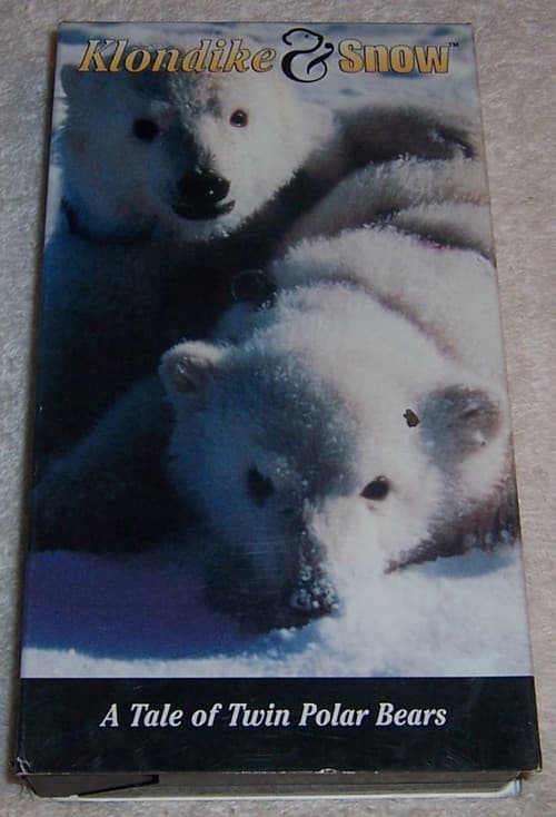 Klondike & Snow: A Tale of Twin Polar Bears