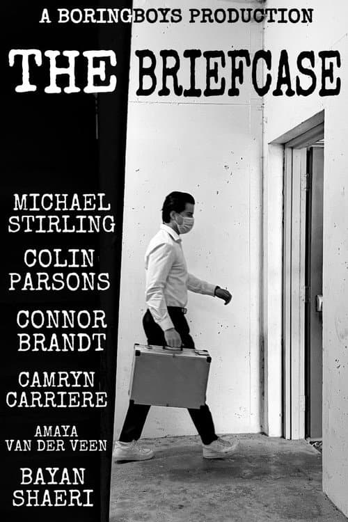 The Briefcase
