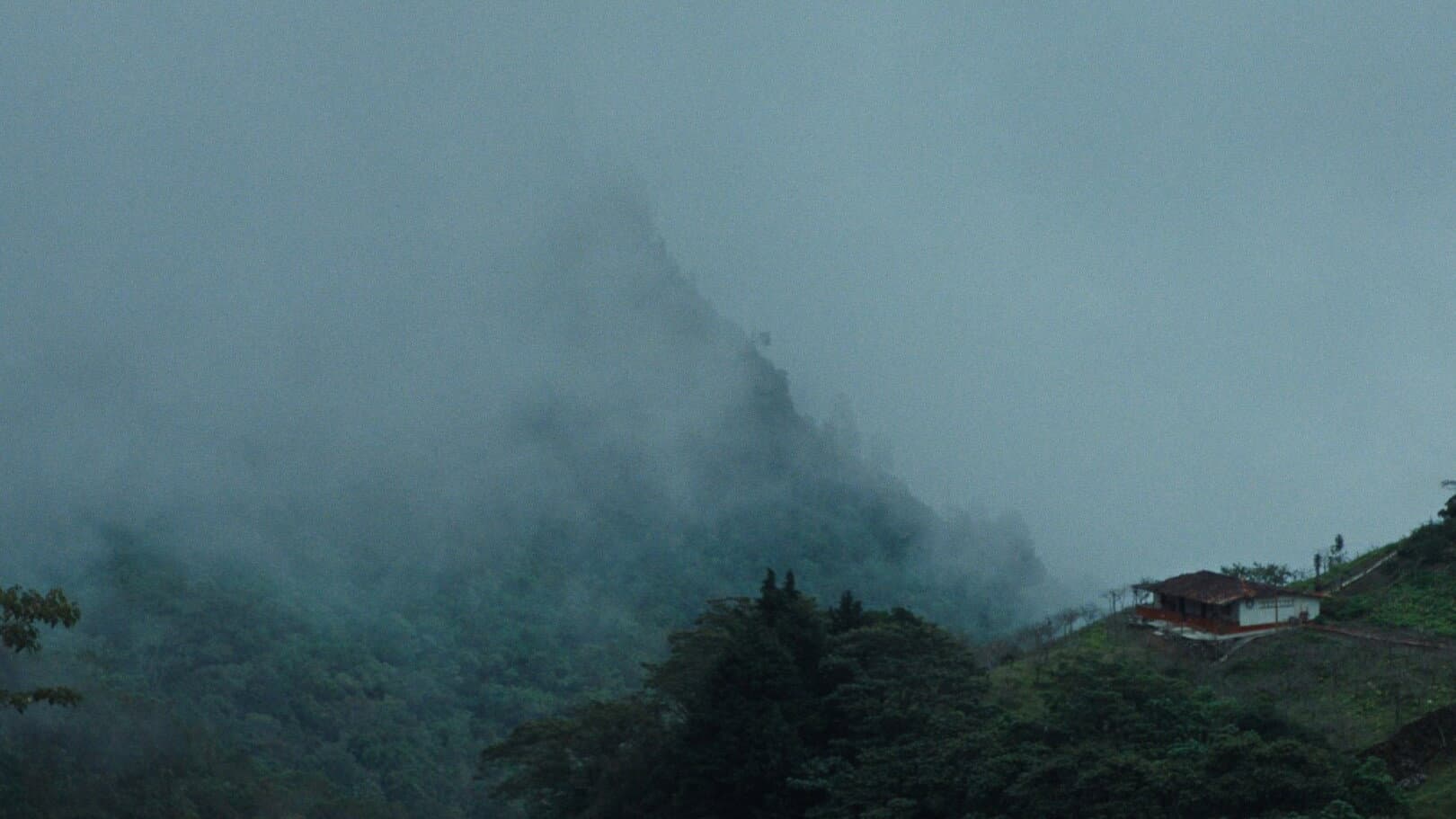 Under the Mountain's Shadow