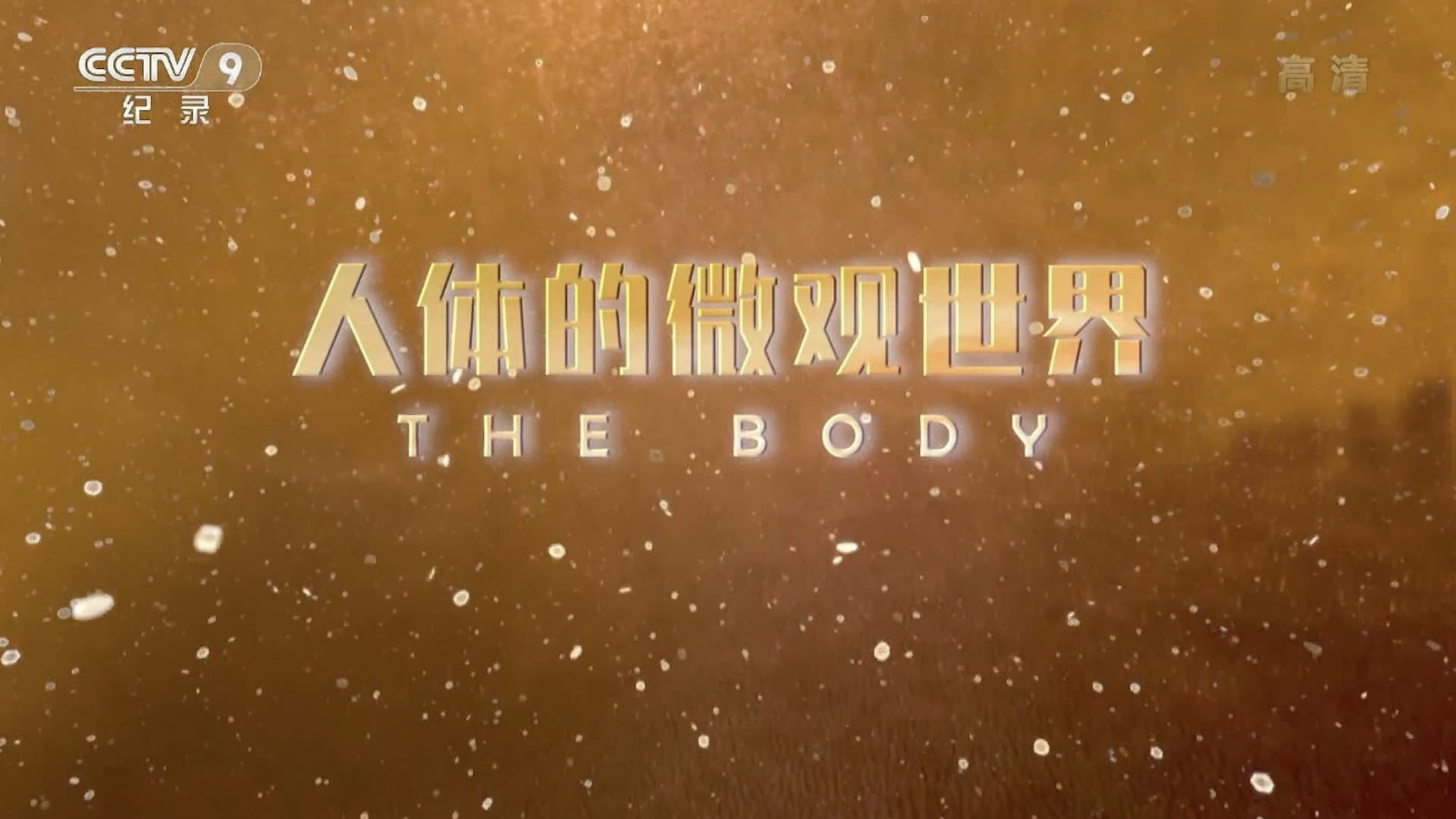人体的微观世界