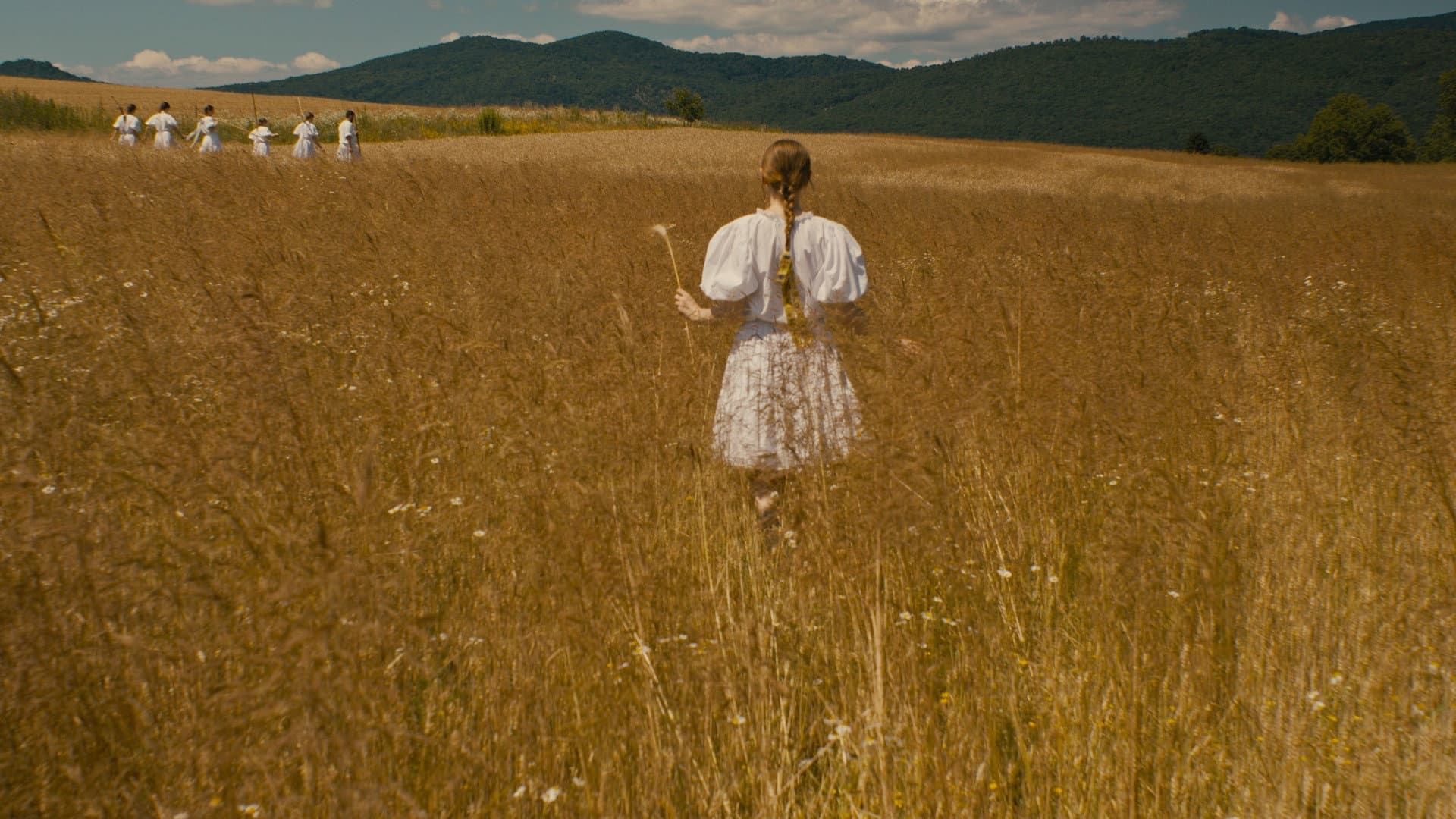 The Harvest