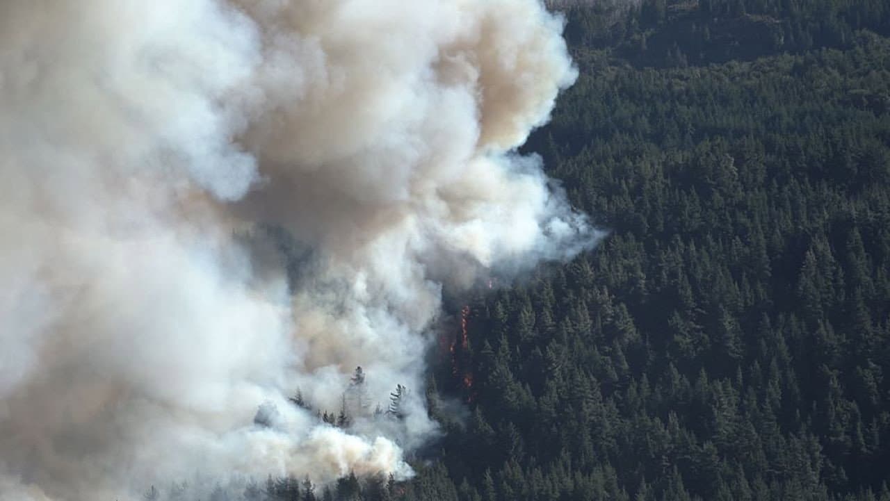 Ecos del Fuego