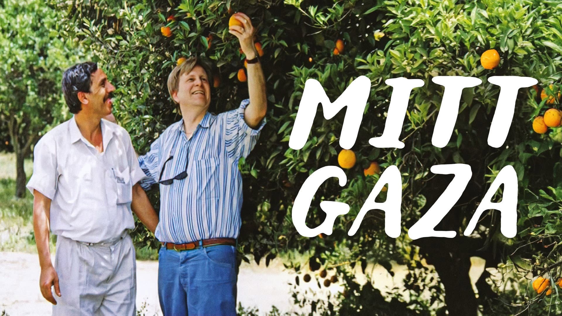 My Gaza