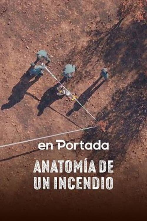 Anatomía de un incendio