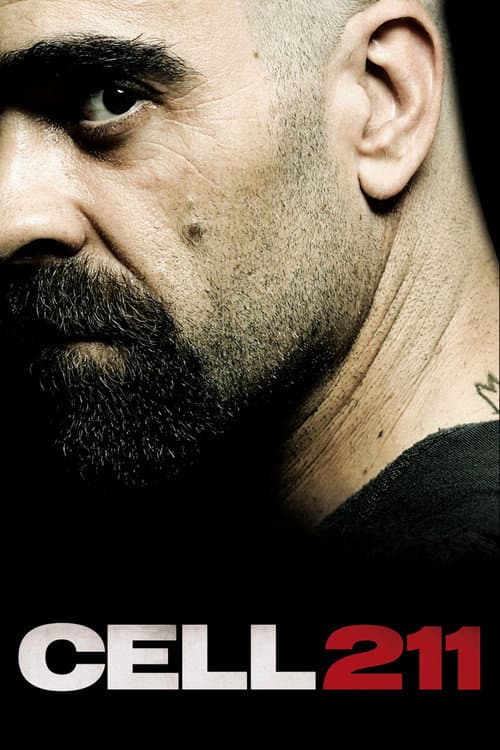 Cell 211